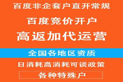 某电商平台的SEM推广实战经验
